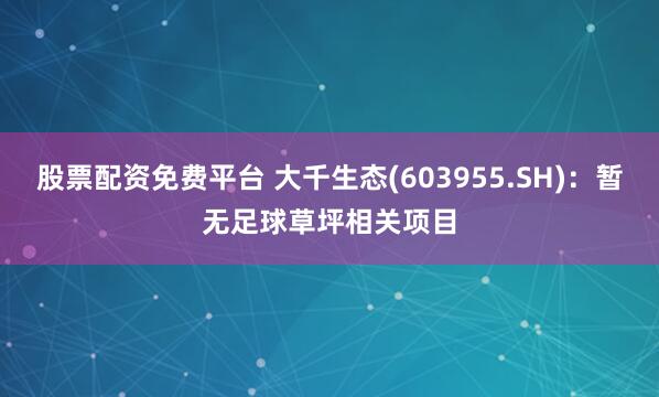 股票配资免费平台 大千生态(603955.SH)：暂无足球草坪相关项目