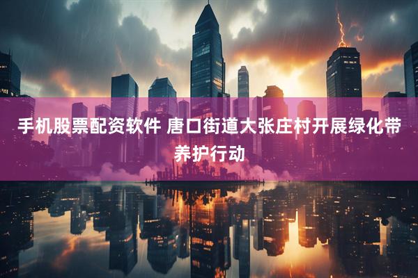 手机股票配资软件 唐口街道大张庄村开展绿化带养护行动
