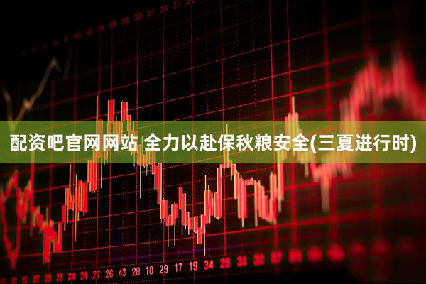 配资吧官网网站 全力以赴保秋粮安全(三夏进行时)