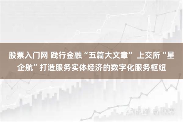股票入门网 践行金融“五篇大文章” 上交所“星企航”打造服务实体经济的数字化服务枢纽