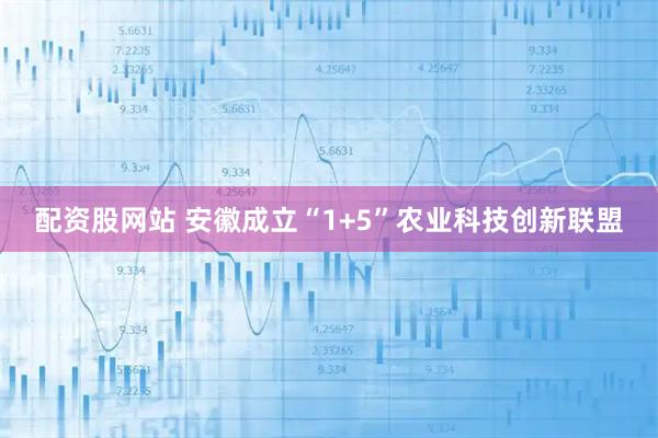 配资股网站 安徽成立“1+5”农业科技创新联盟